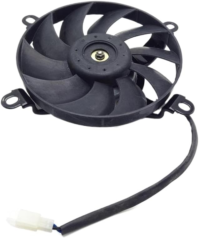 逸品！沖縄エバーフレッシュ曲がり❗️大型観葉植物！高さ155◎！幹太